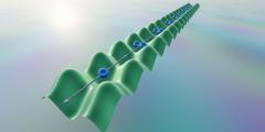 非自明な保存量がもたらす緩和の遅れ―孤立量子多体系における熱平衡化の理解の深化に期待―